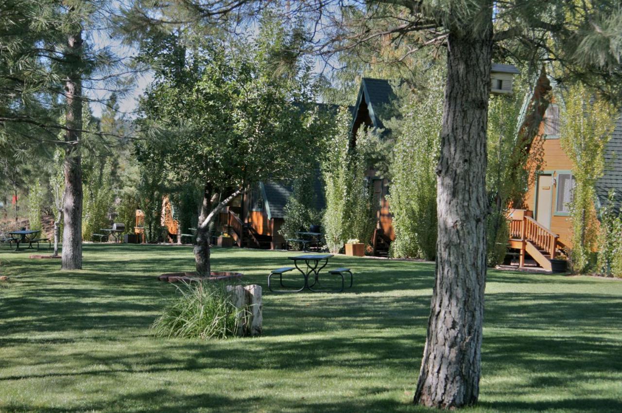 Cabins On Strawberry Hill Ξενοδοχείο Pine Εξωτερικό φωτογραφία